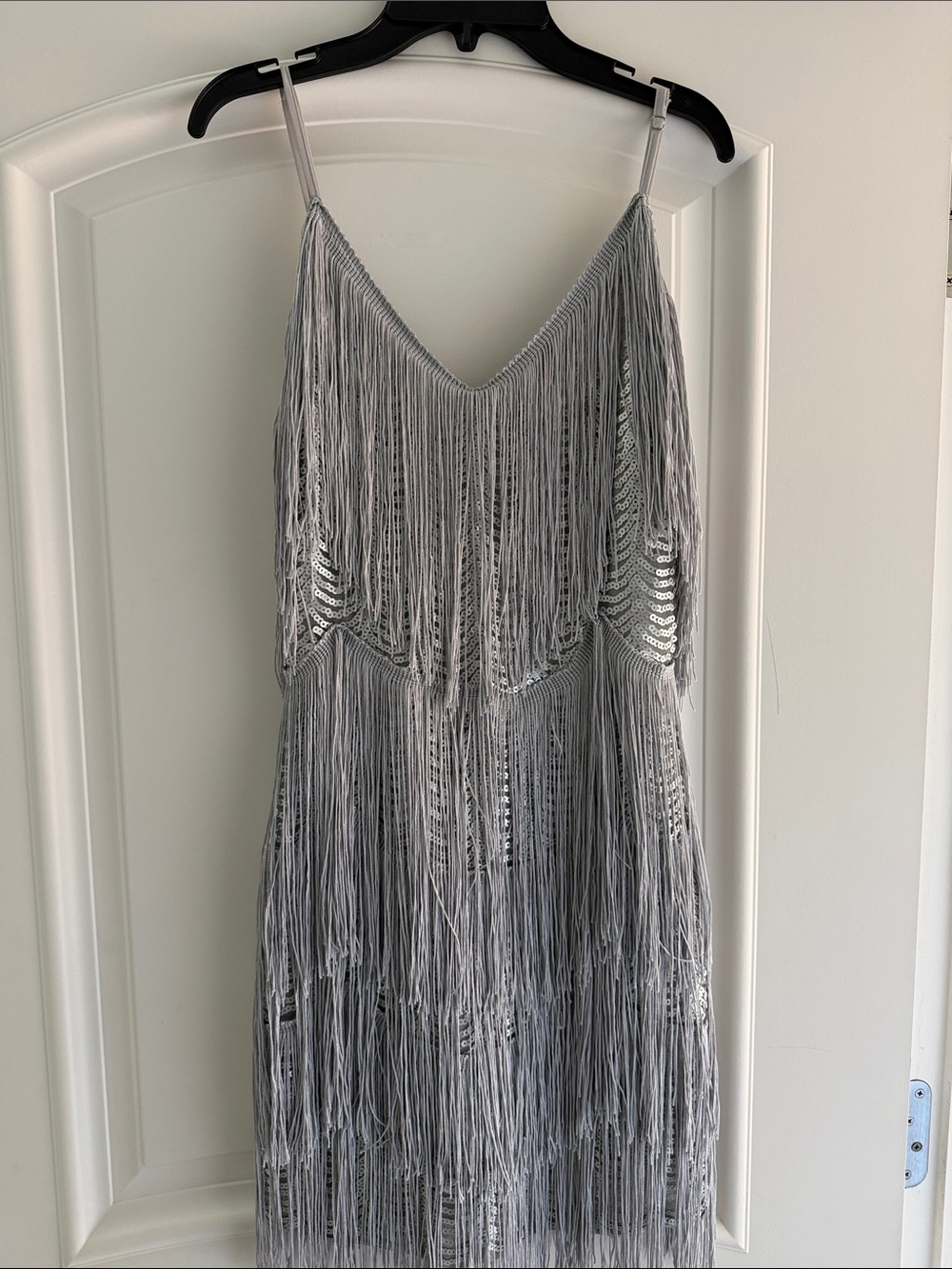 Lulu's Silver Fringe Mini Dress with Spaghetti Straps